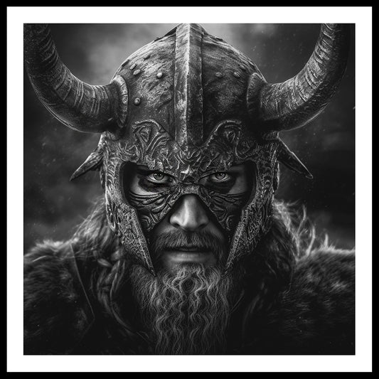 Viking Warrior Art Print