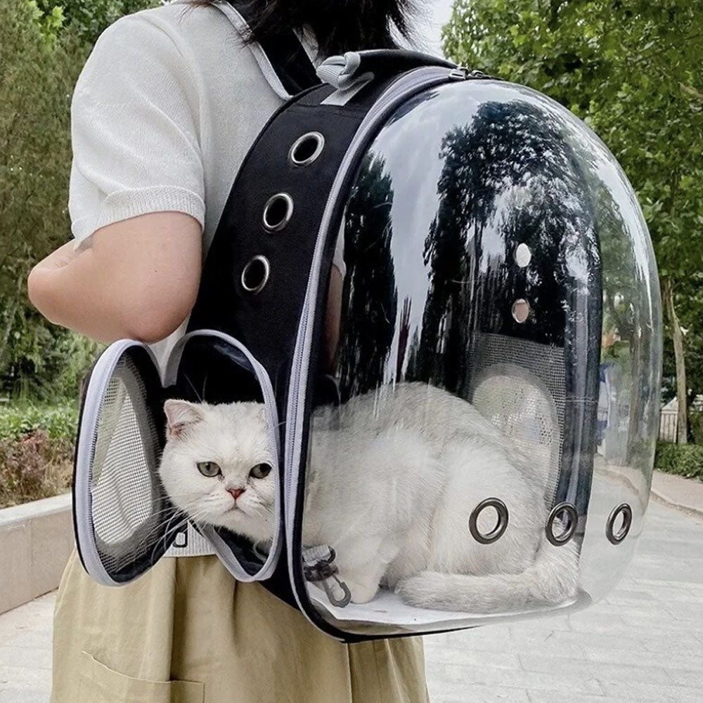 Cat hot sale capsule backpack