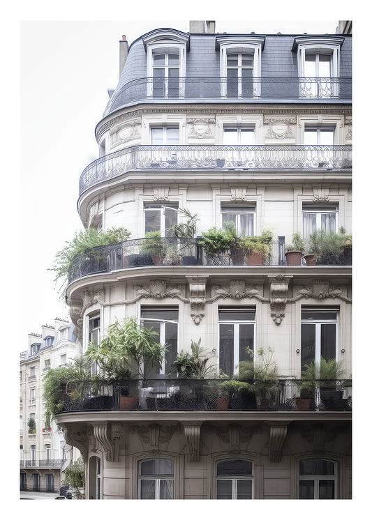 French Balconies Art Print