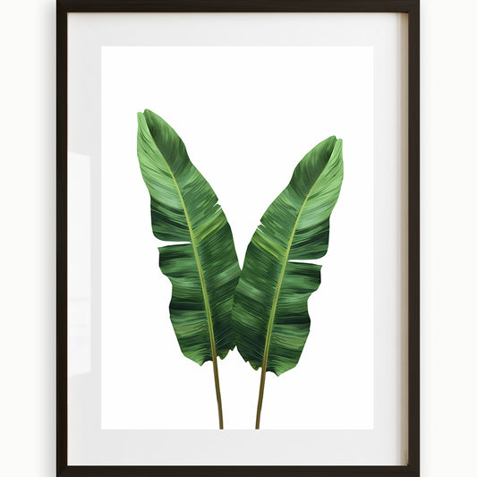 Strelitzia Leaves Art Print