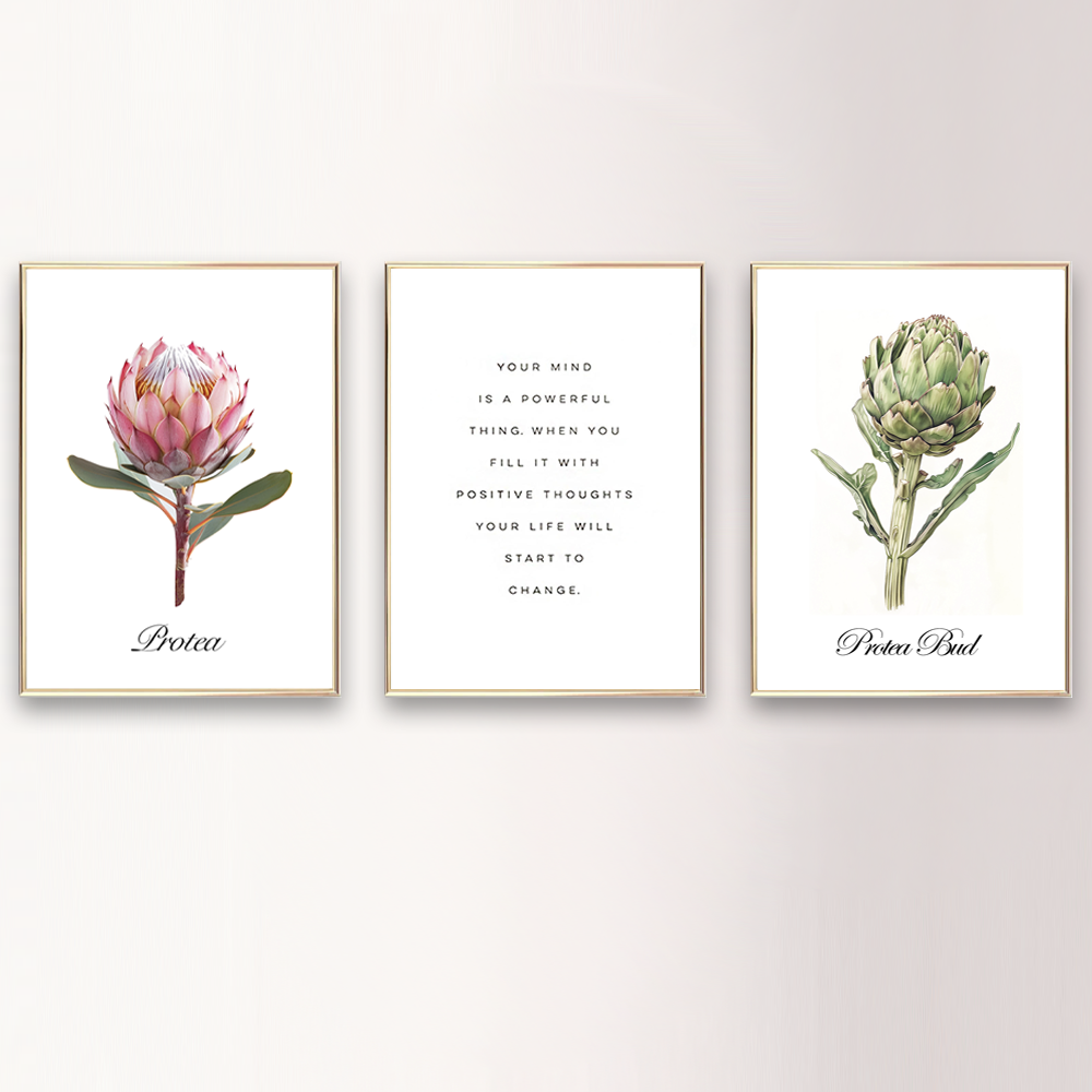 Rosa Protea Kunstdruck