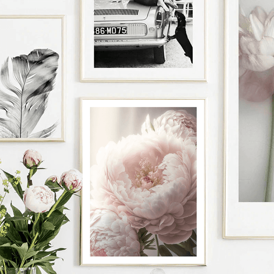 Pink Peony Art Print