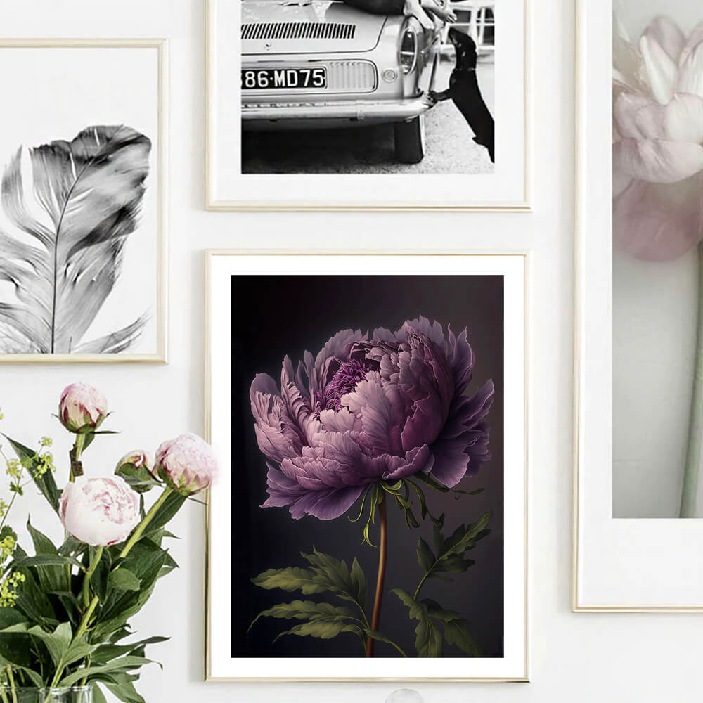 Lila Pfingstrose Blume Kunstdruck