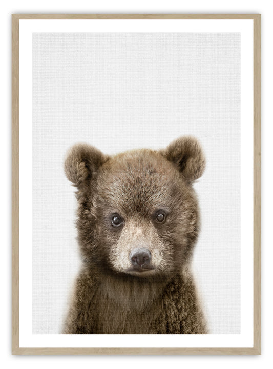 Baby Bear Art Print