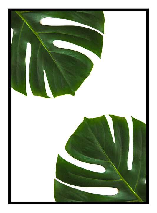 Palm Leaves Art Print
