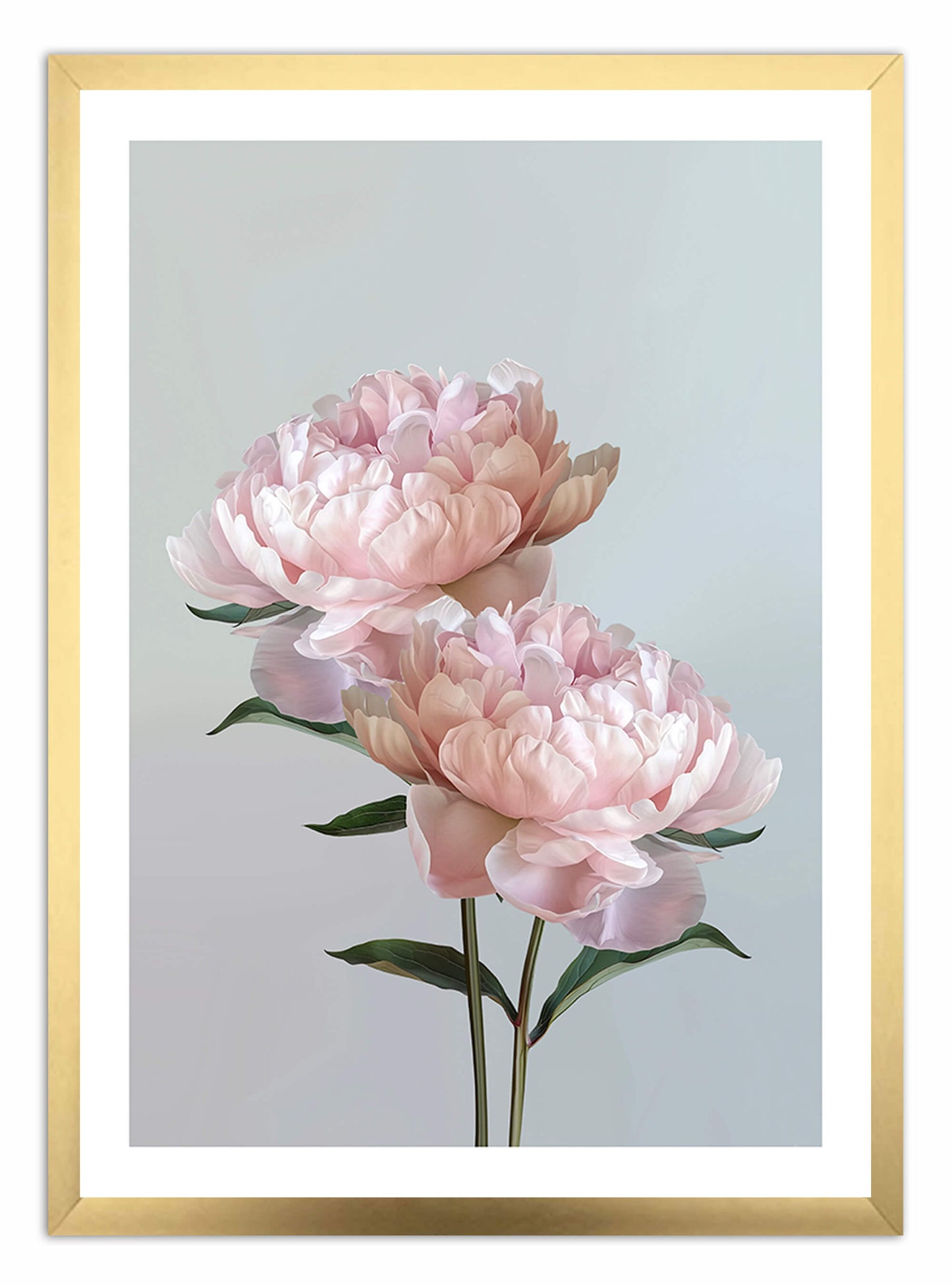Baby Pink Peonies Art Print