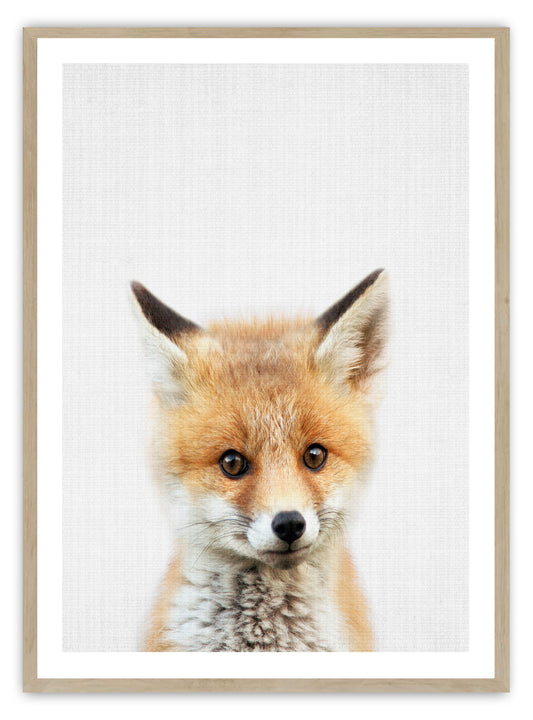 Baby Fox Art Print