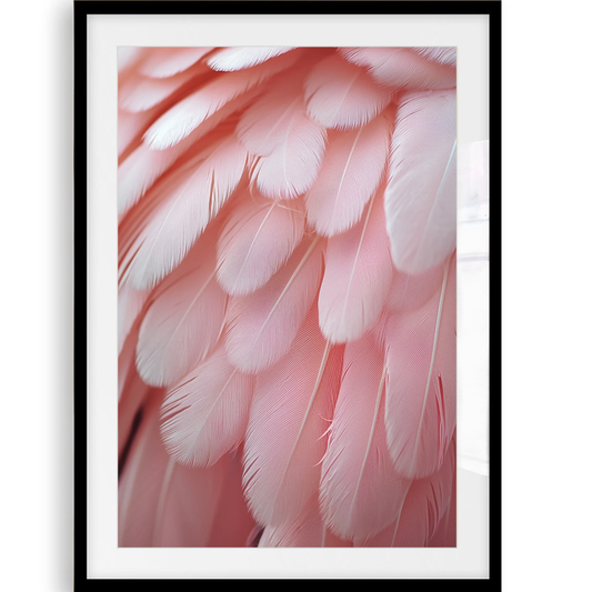 Pink Feathers Art Print