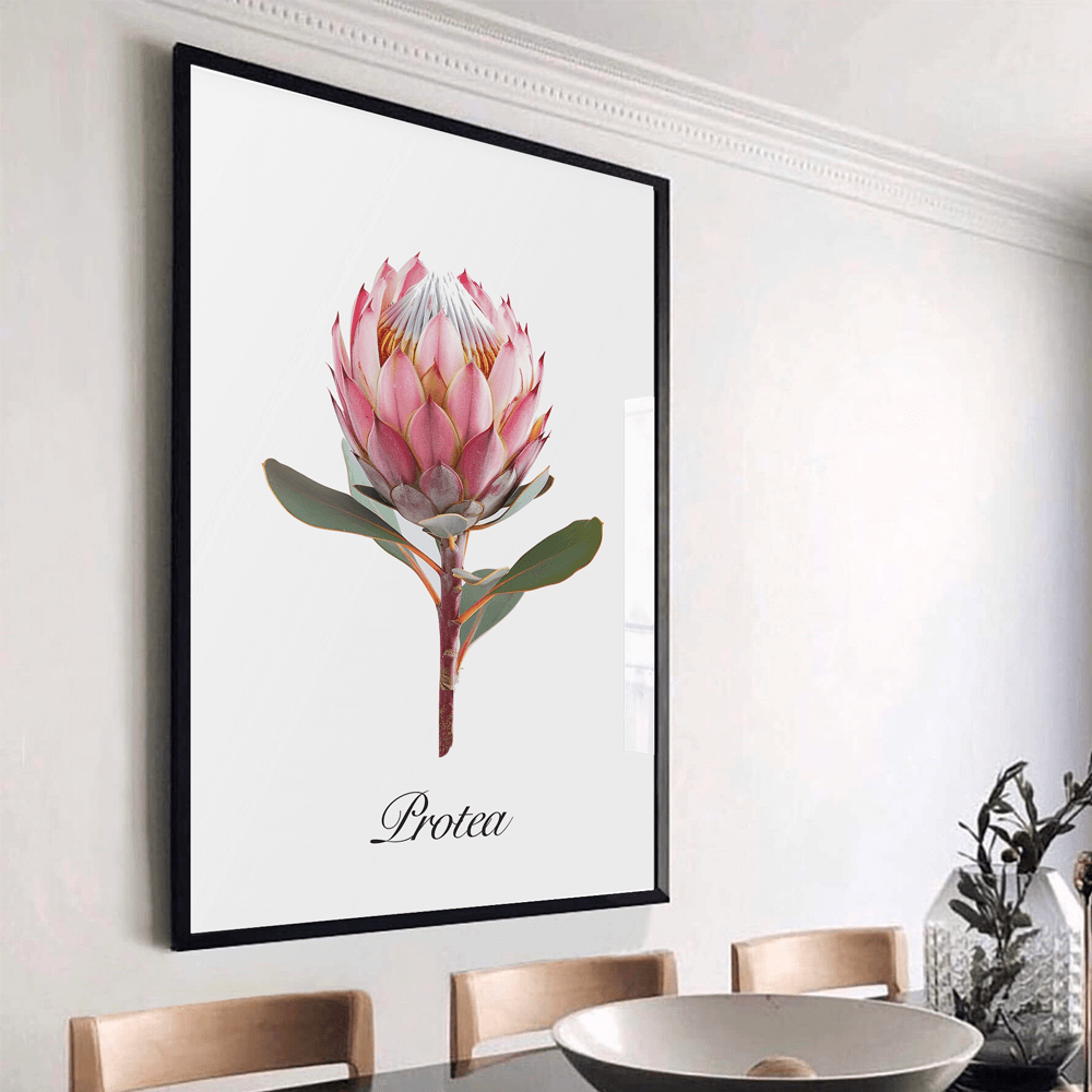 Rosa Protea Kunstdruck