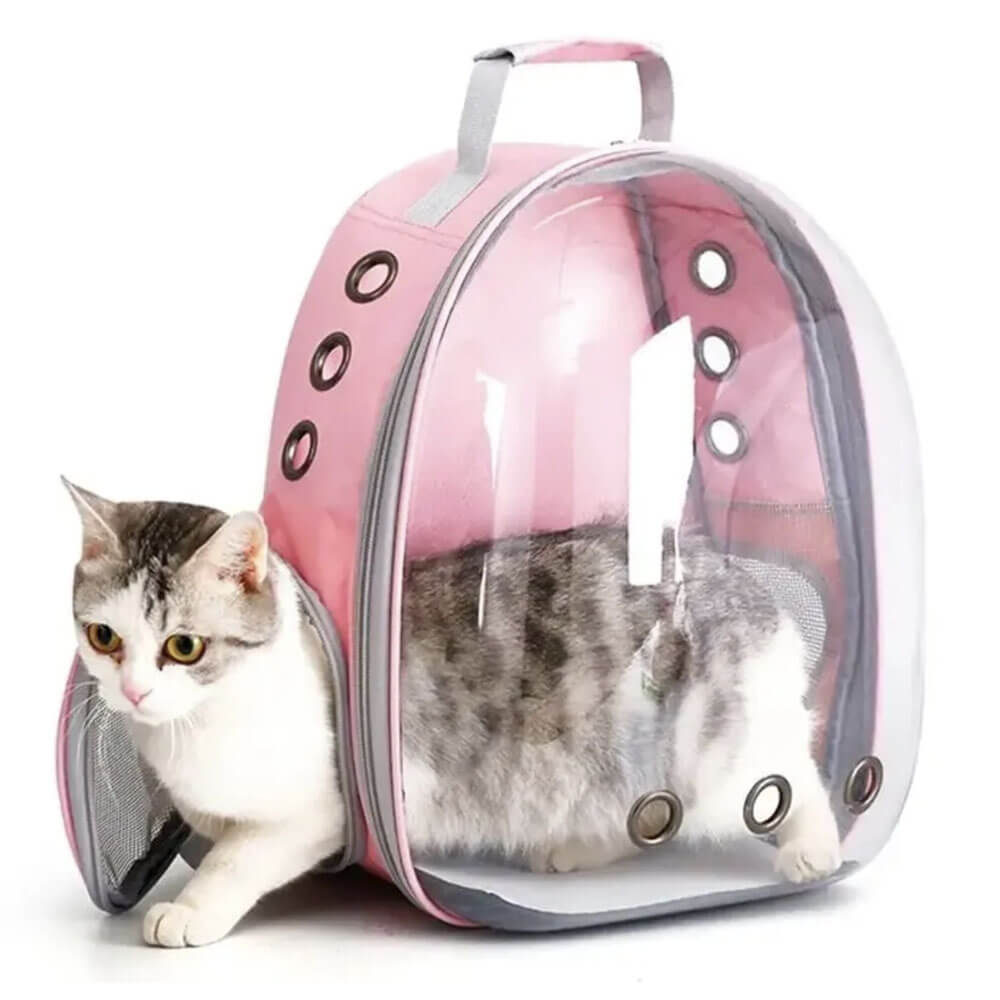 Sac de transport pour sac à dos Cat Capsule