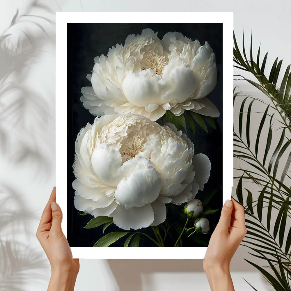 Cló Ealaíne Bán Peony Flower