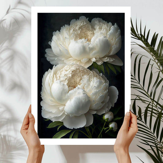 White Peony Flower Art Print