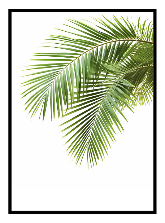 Duilleoga Palm (B) Cló Ealaíne