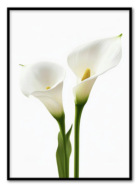 Cetakan Seni Cala Lillies