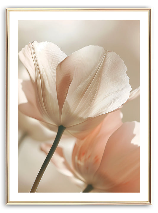 Beige Poppy Art Print