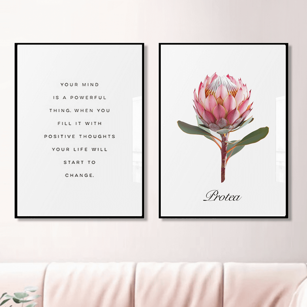 Rosa Protea Kunstdruck
