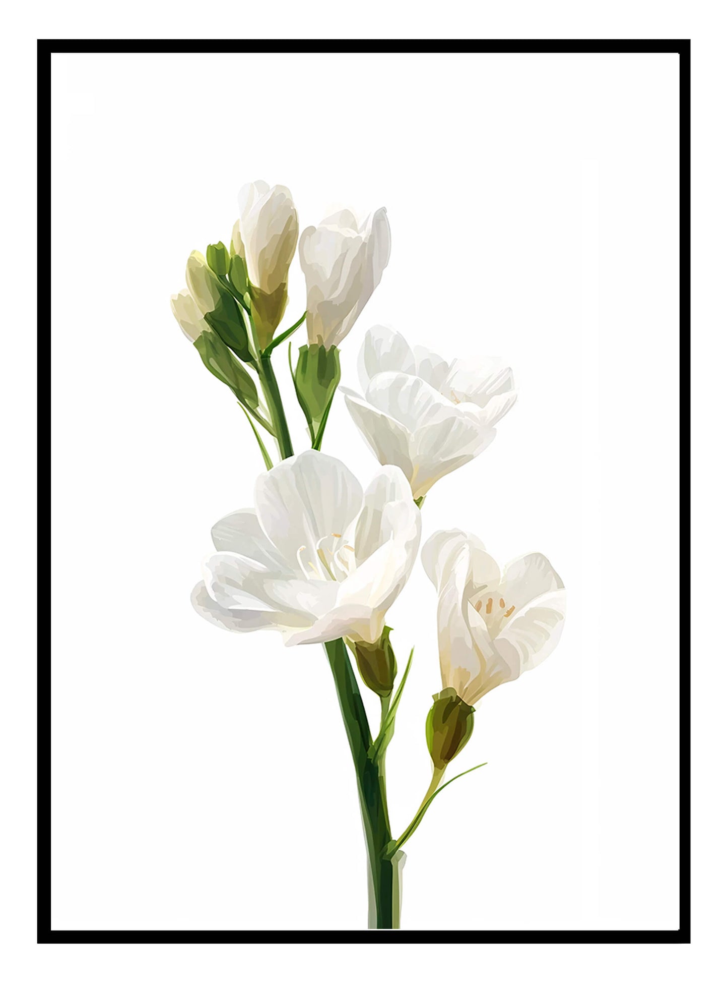 White Fresia Art Print