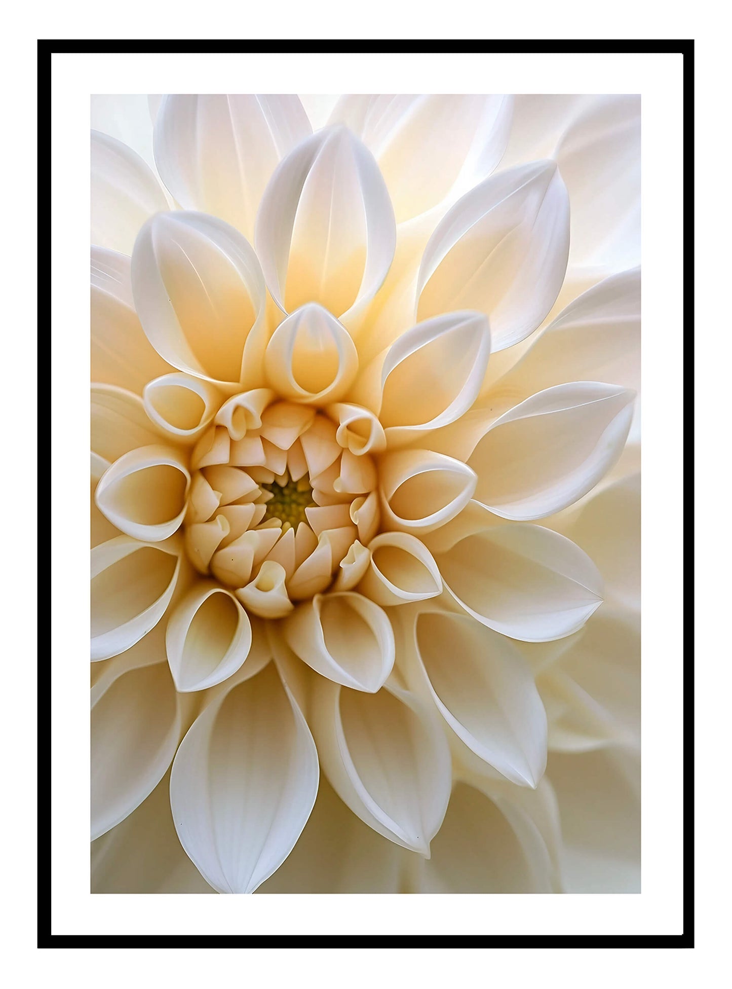 Macro Dahlia Art Print