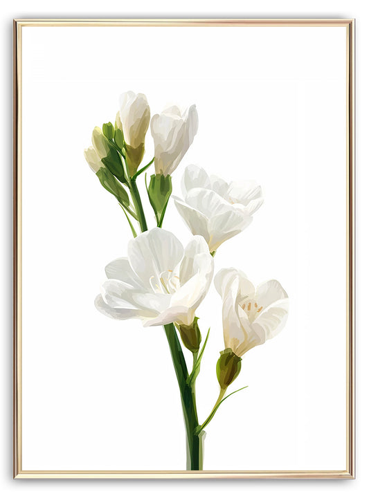 White Fresia Art Print