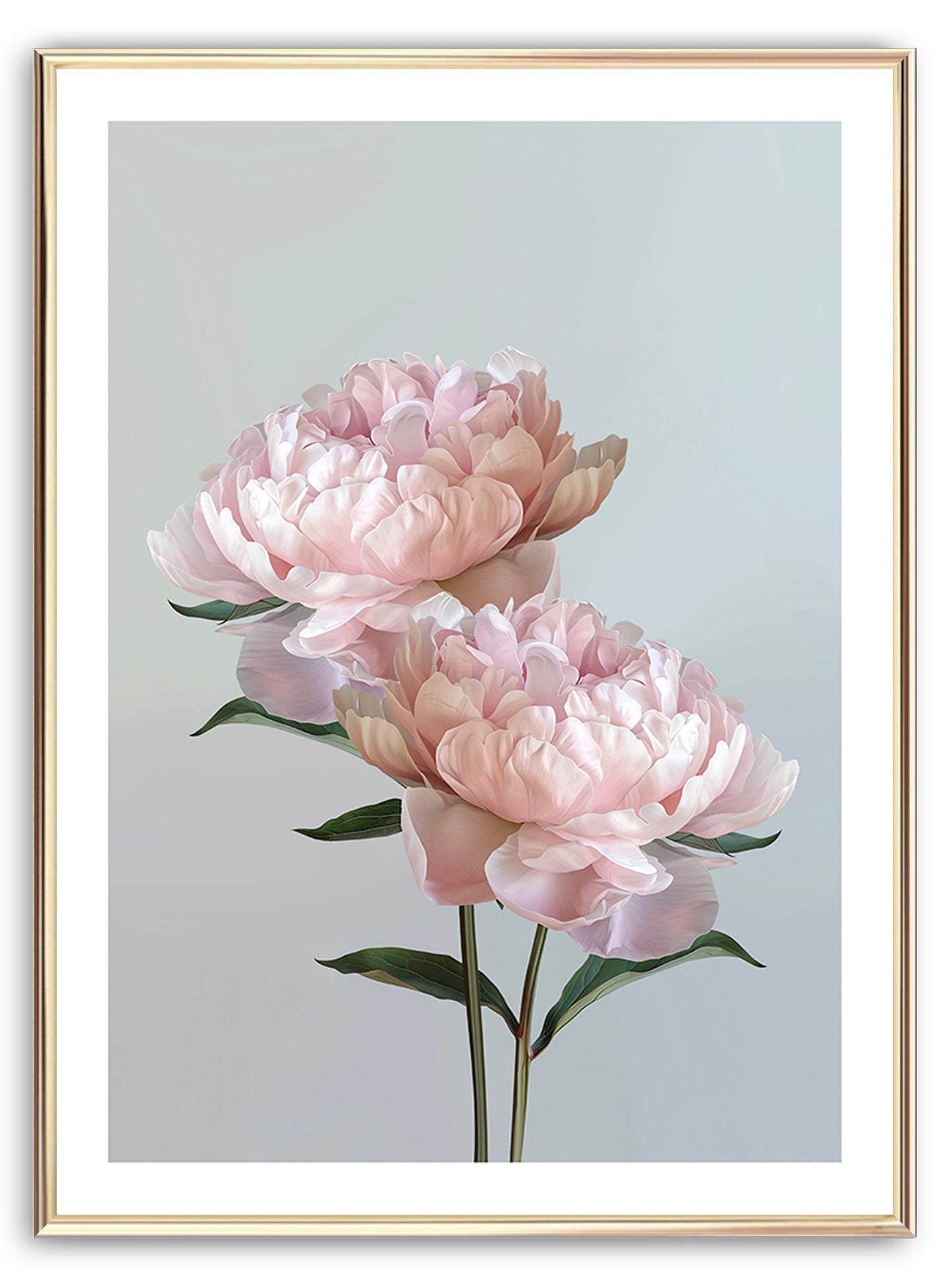 Baby Pink Peonies Art Print