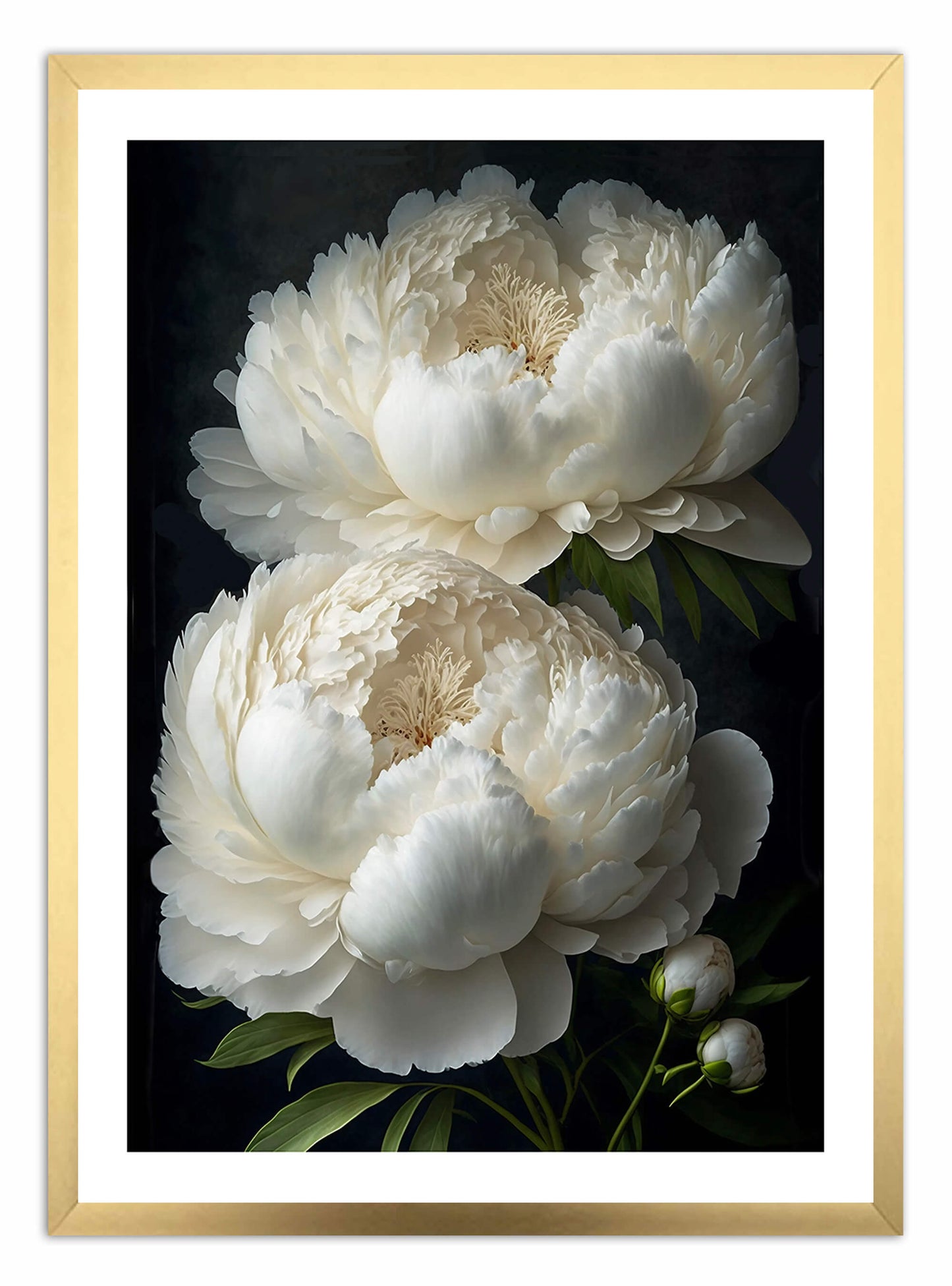 Cló Ealaíne Bán Peony Flower