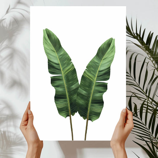Duilleoga Strelitzia Priontáil Ealaíne