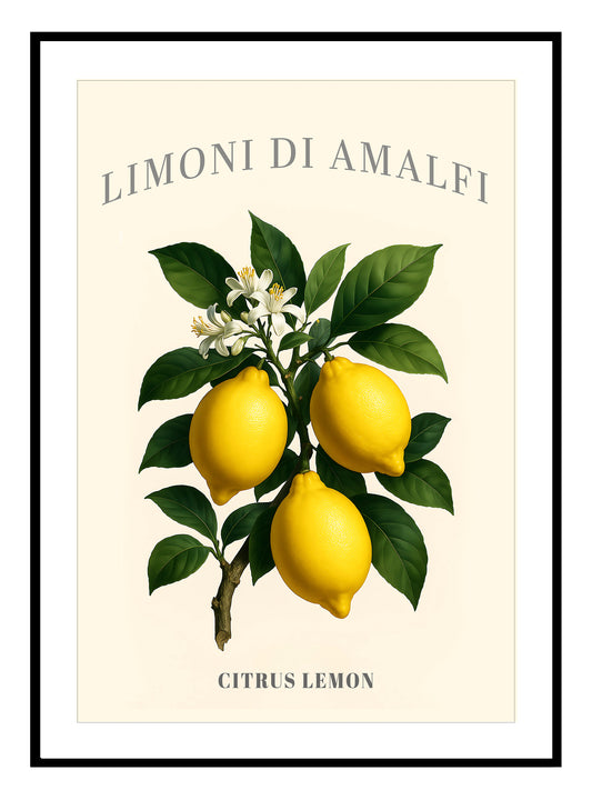 Amalfi Lemon Art Print