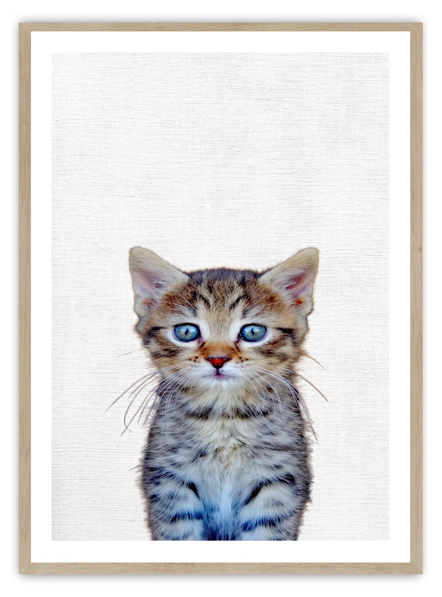 Cute Kitten Art Print