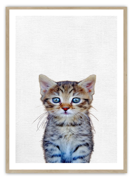Cute Kitten Art Print