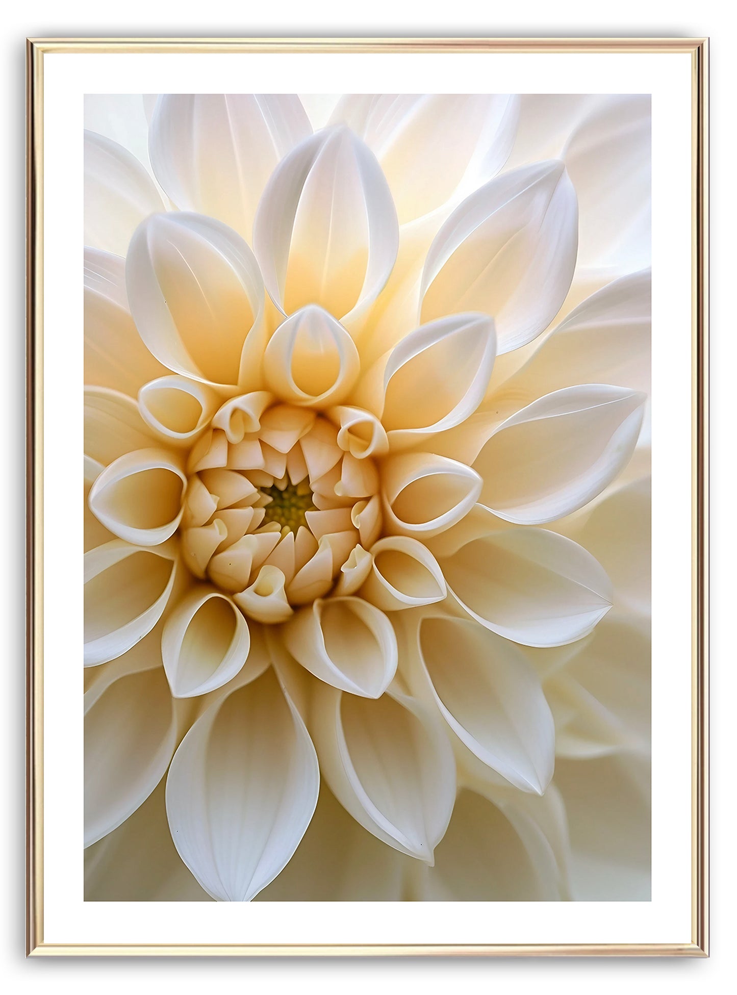 Macro Dahlia Art Print