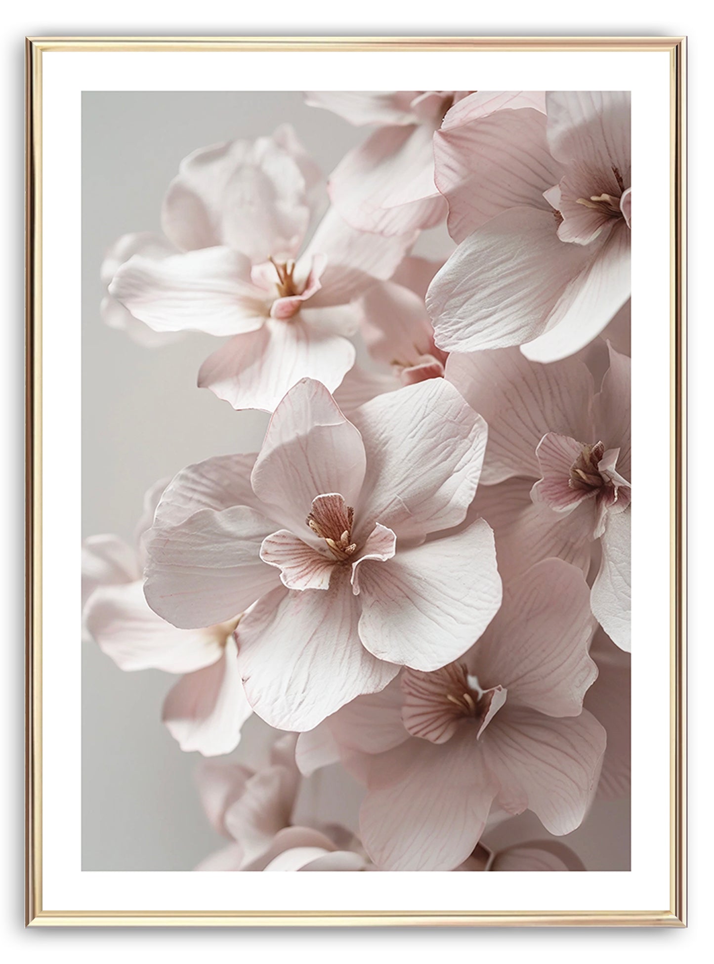 Blassrosa Orchidee Kunstdruck