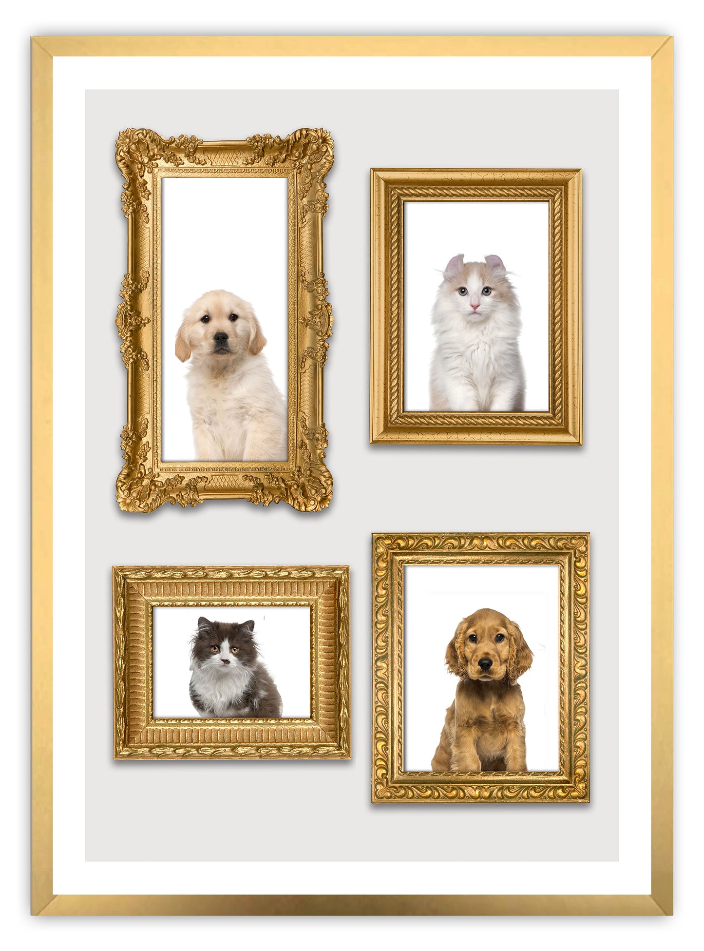 Kittens & Puppies Art Print