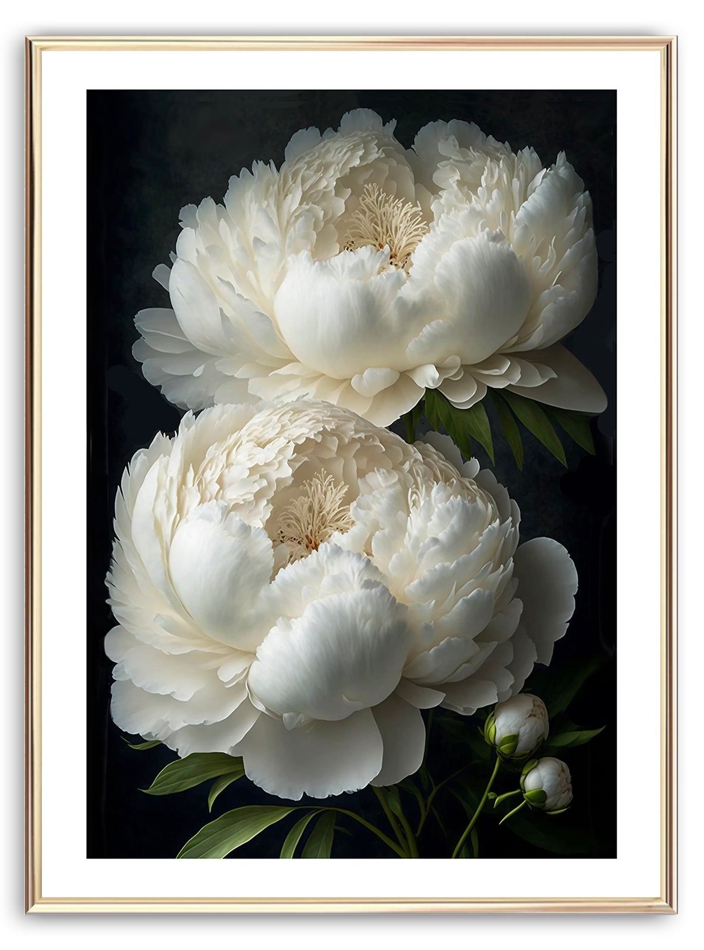Cló Ealaíne Bán Peony Flower