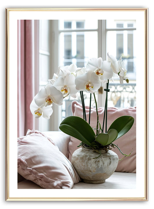 Bláth Magairlín Phalaenopsis (B) Cló Ealaíne