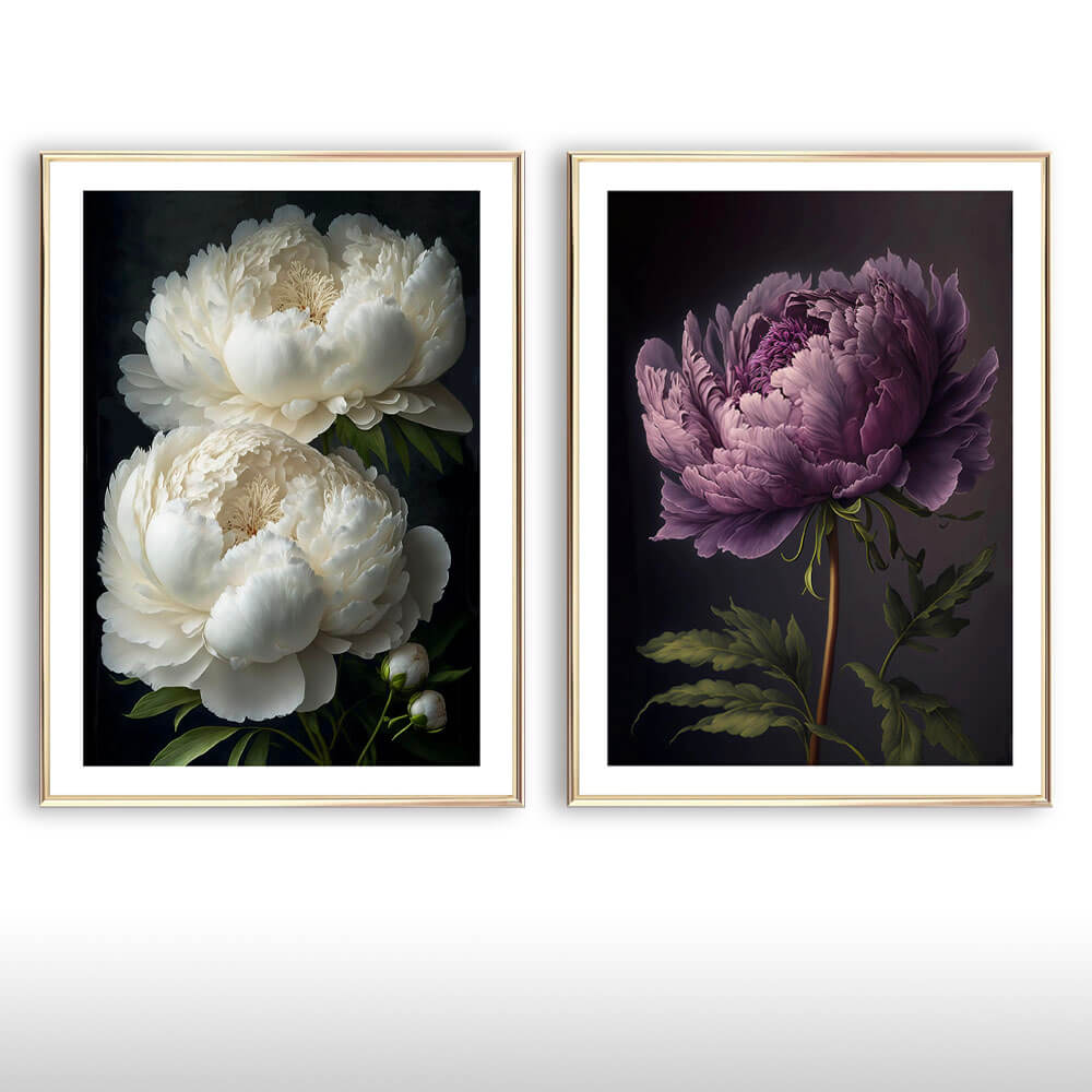 Cló Ealaíne Bán Peony Flower