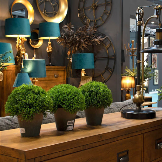 Tall Hebe Globe Indoor Topiary Pot
