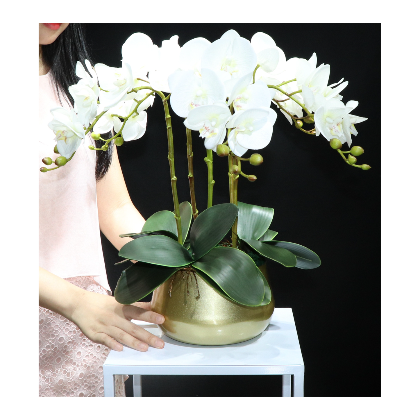 High Grade Plant Pots - 2 Colours - Jasmine and Jade Interiors