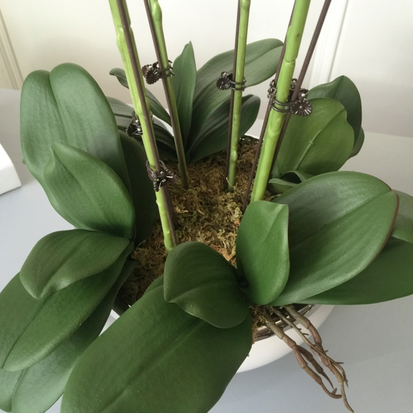 High Grade, Realistic Artificial Orchid Set - Jasmine and Jade Interiors