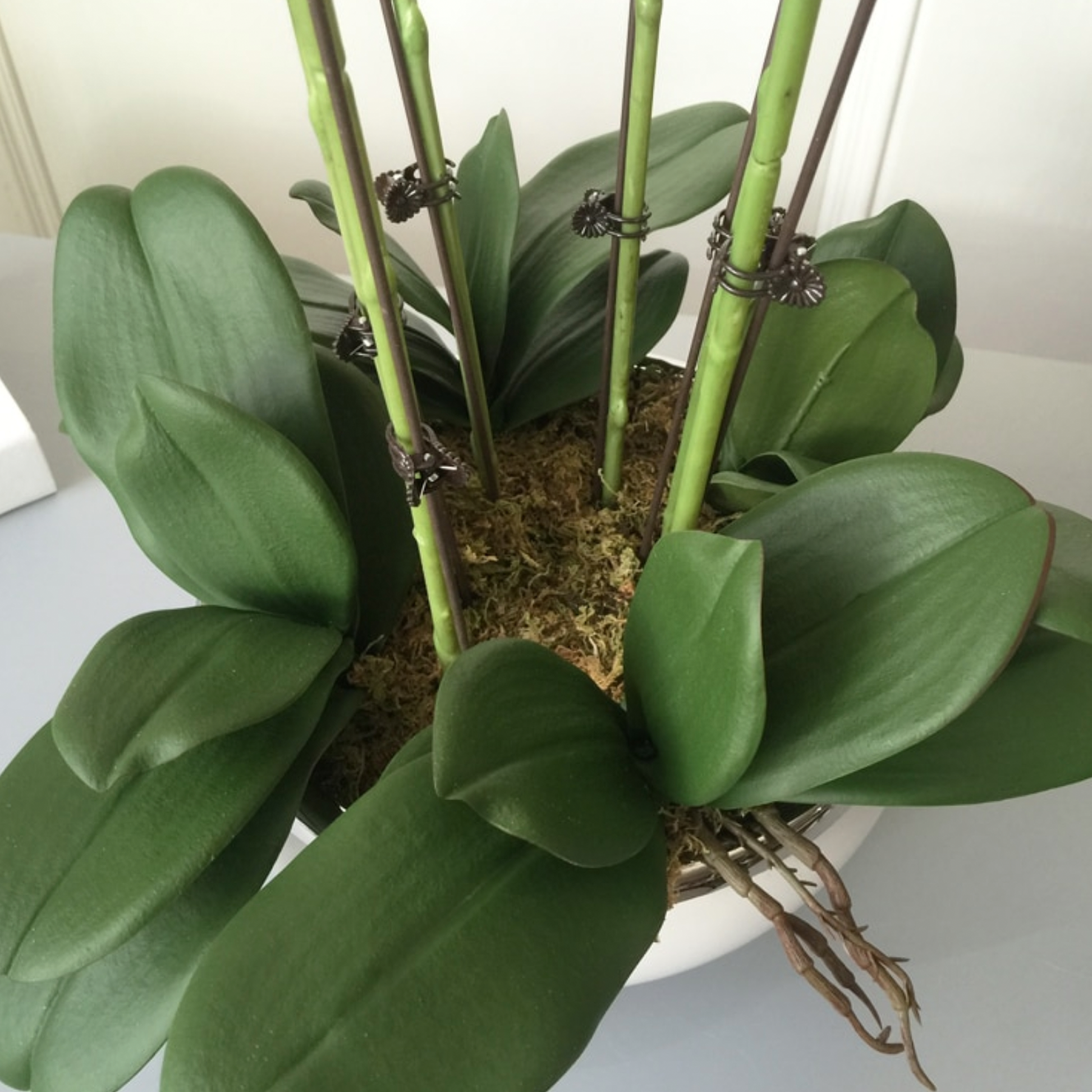 High Grade, Realistic Artificial Orchid Set - Jasmine and Jade Interiors