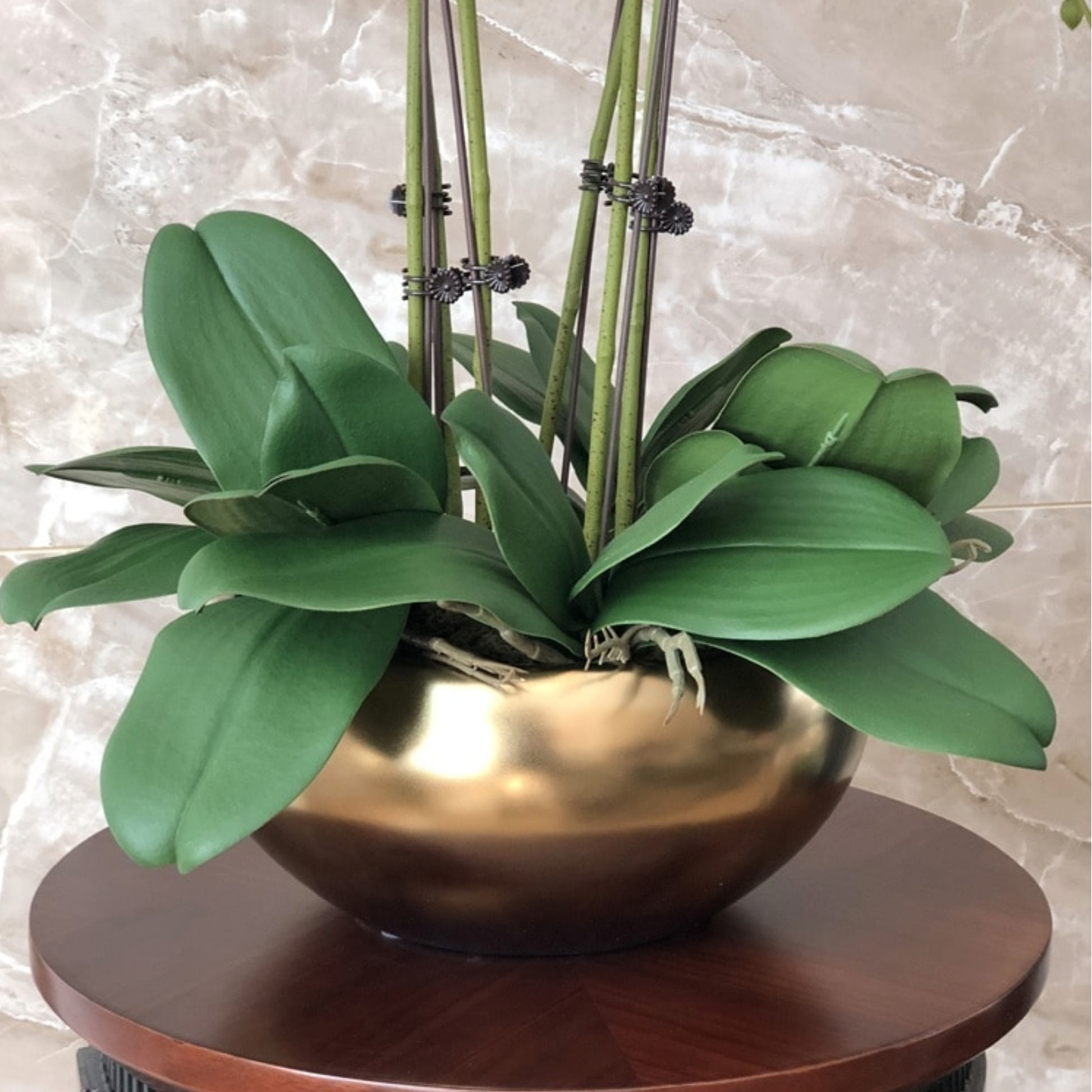 High Grade, Realistic Artificial Orchid Set - Jasmine and Jade Interiors