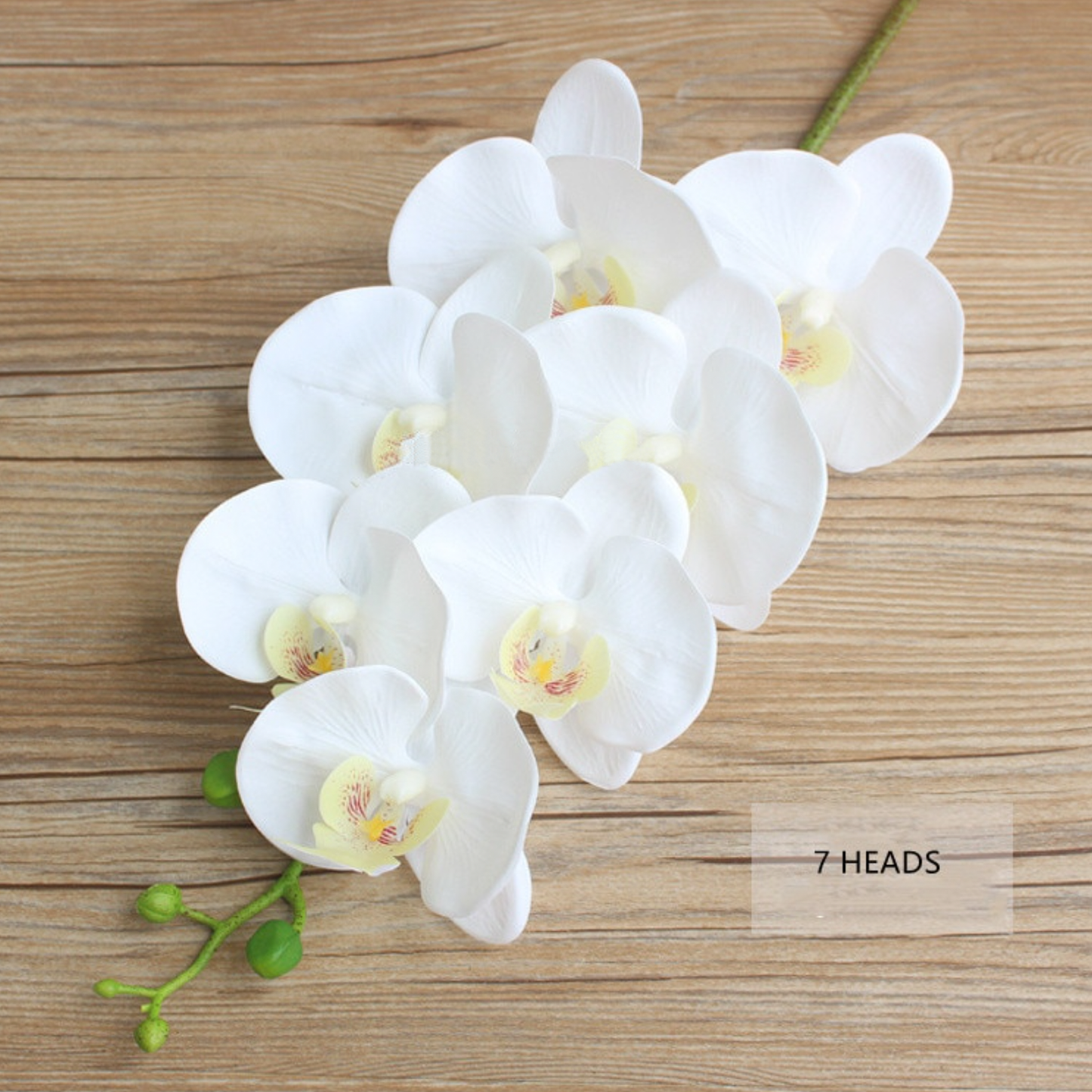 High Grade, Realistic Artificial Orchid Set