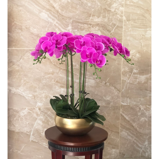 High Grade, Realistic Artificial Orchid Set - Jasmine and Jade Interiors