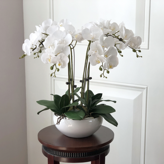 High Grade, Realistic Artificial Orchid Set - Jasmine and Jade Interiors