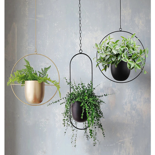 Metal Wall Hanging Planters - Jasmine and Jade Interiors