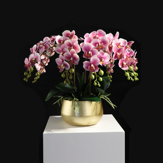 High Grade Plant Pots - 2 Colours - Jasmine and Jade Interiors