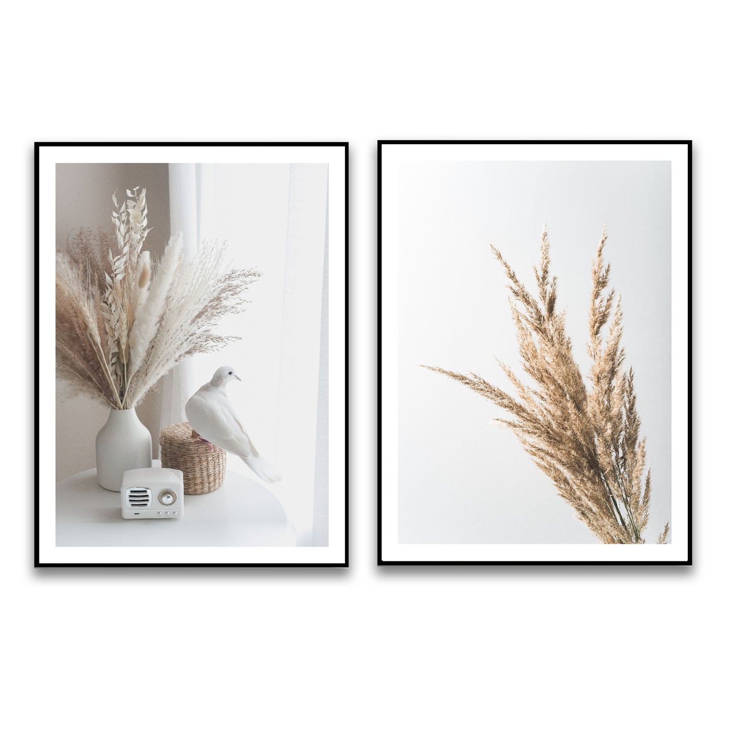 White Dove Art Print