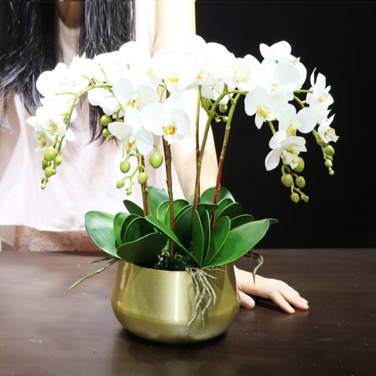High Grade Plant Pots - 2 Colours - Jasmine and Jade Interiors