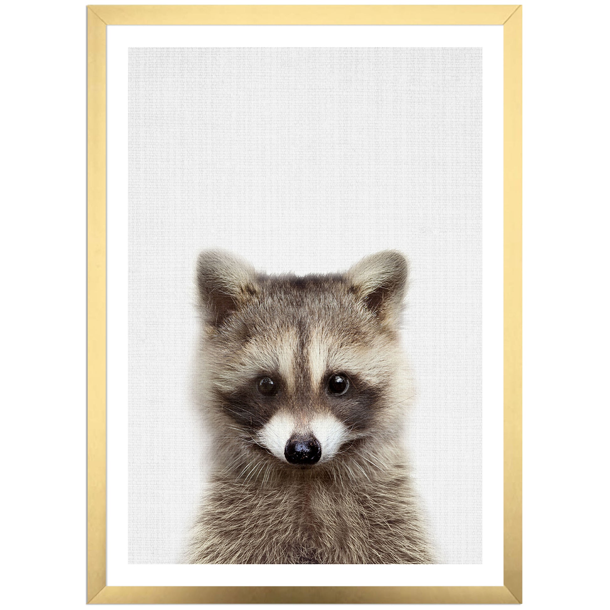 Baby animal Art Prints , kids posters