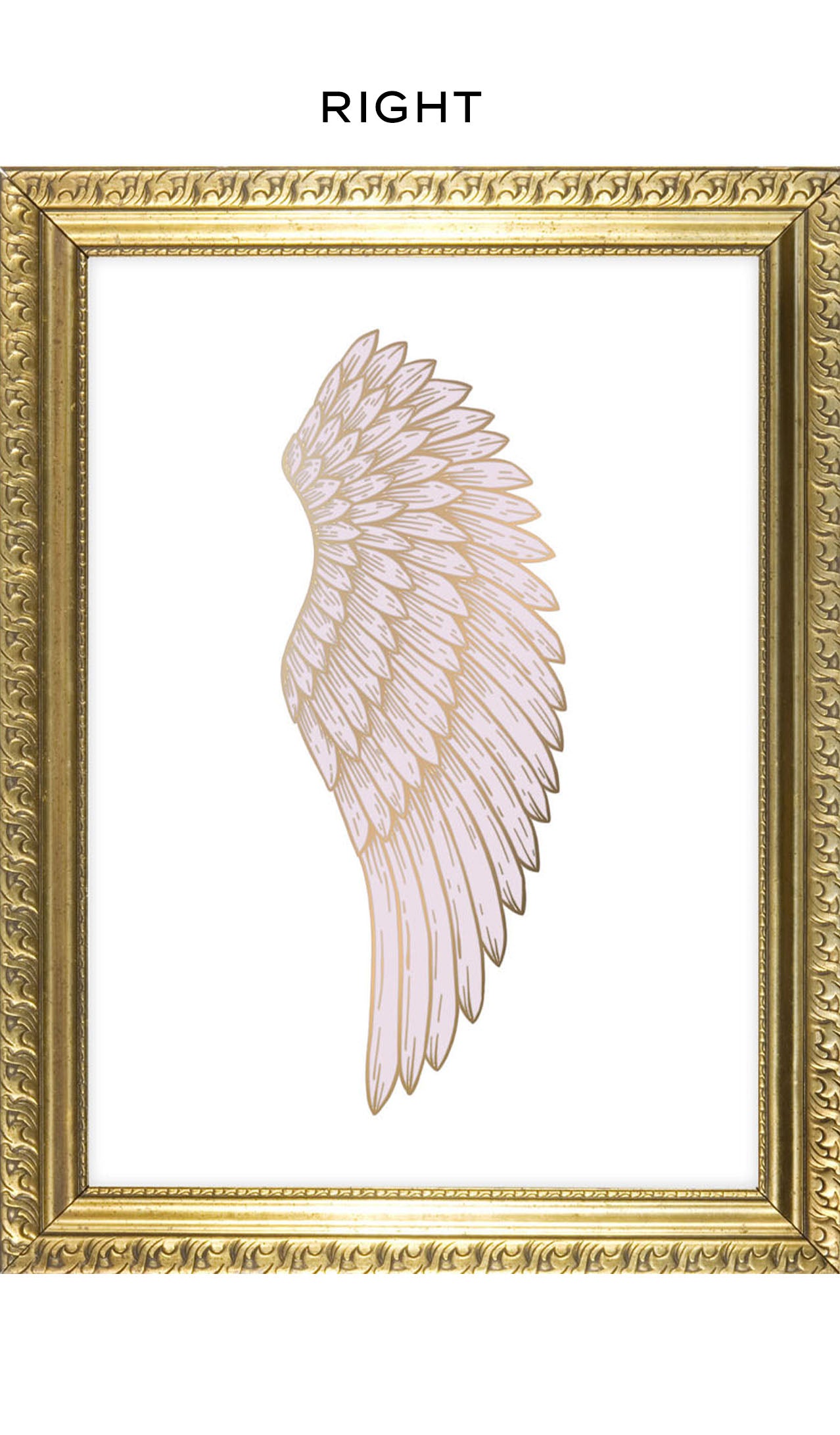 Angel Wing Art Prints - Jasmine and Jade Interiors