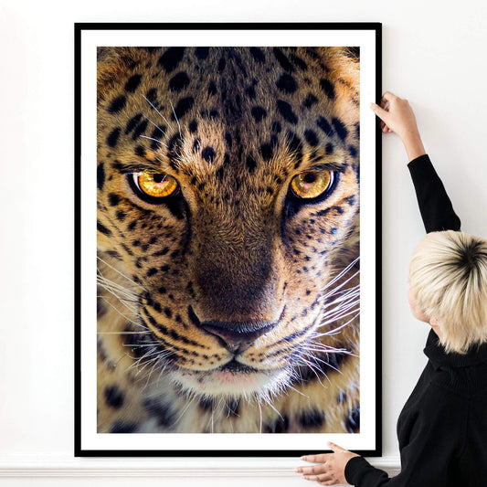 LED-Hintergrundbeleuchtung, Leoparden-Kunstlicht (B)